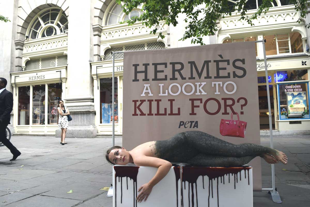 PETA \u0026#39;Reptiles\u0026#39; Go on World Tour of Hermes Stores | PETA UK