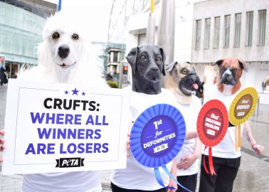 Some of the Most F*%#ed-Up Family Trees From Last Year’s Crufts Winners