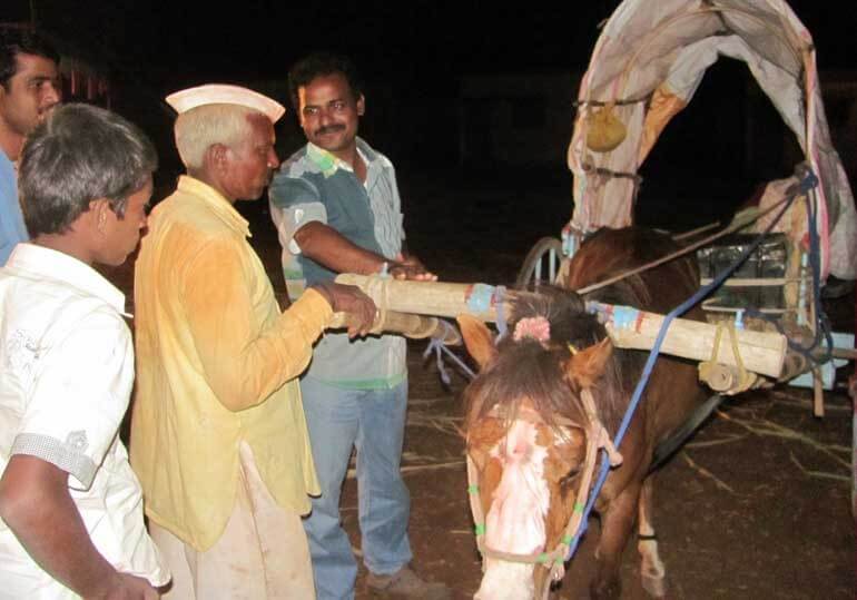  Dr. Yadav Helping Donkey