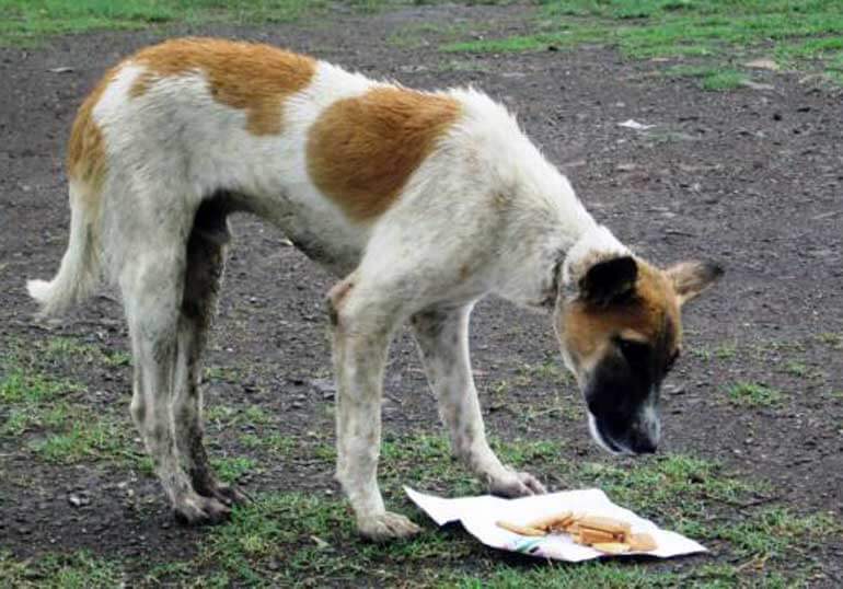 Tight Chain around Neck