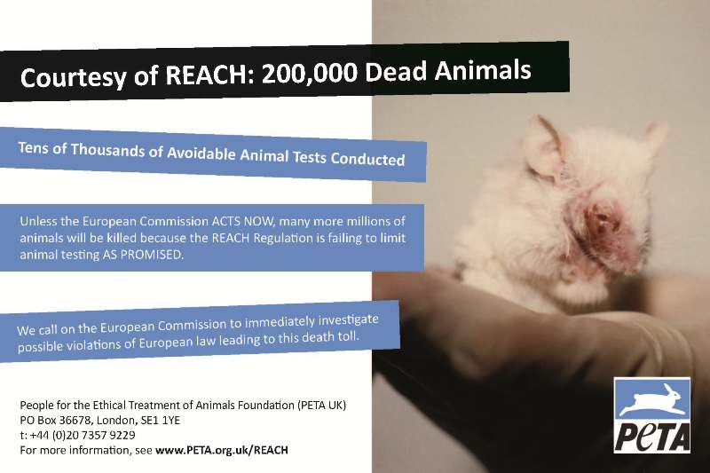 The World's Largest Animal Testing Programme - Even Worse Than You Thought The World's Largest Animal Testing Programme - Even Worse Than You Thought