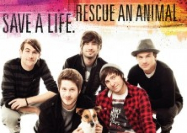 You Me At Six Tells Fans ‘Breeders Kill Shelter Dogs’ Chances’