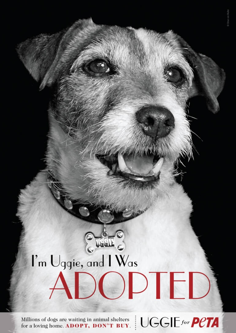 Uggie PETA ad