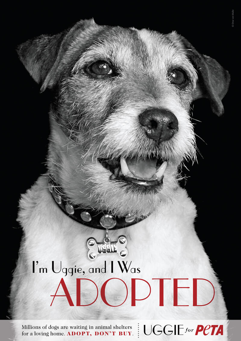 Uggie Wants You to Adopt, Never Buy Uggie Wants You to Adopt, Never Buy
