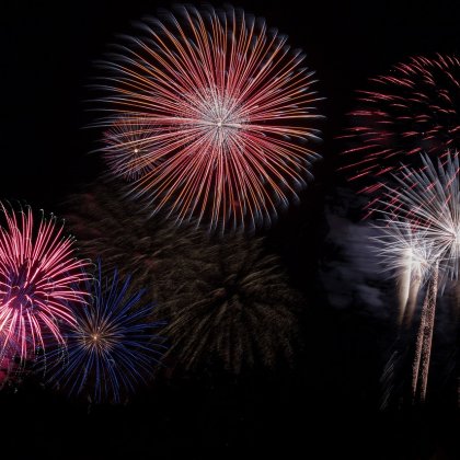 How to Keep Your Animal Companions Safe During Firework Displays