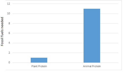 Energy graph