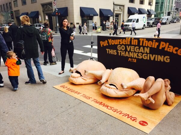 Turkey Thanksgiving Protest