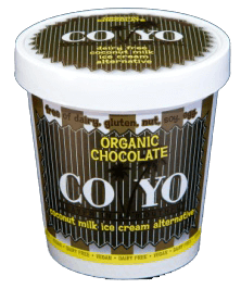 Coyo vegan chocolate ice cream