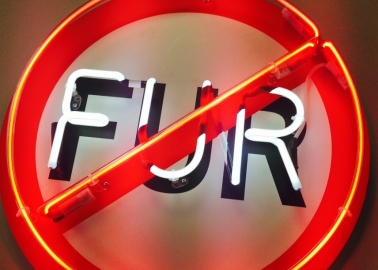 Top London Night Club Bans Fur!