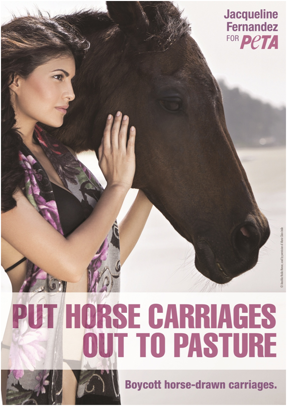 17 Bollywood Stars Who Speak Out for Animals 17 Bollywood Stars Who Speak Out for Animals