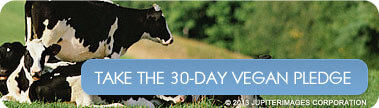 Take the 30-Day Vegan Pledge!