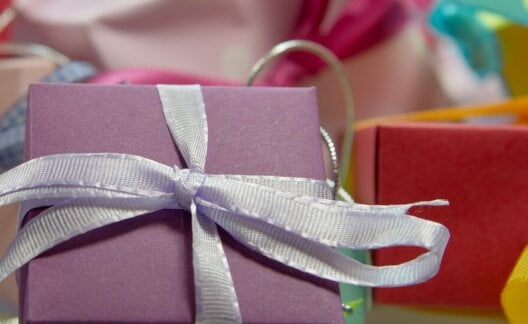 Cruelty-Free Christmas Shopping