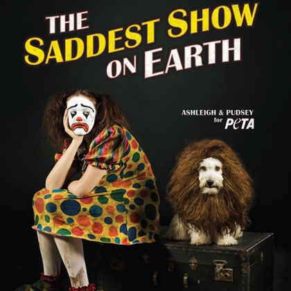Ashleigh & Pudsey: The Saddest Show on Earth