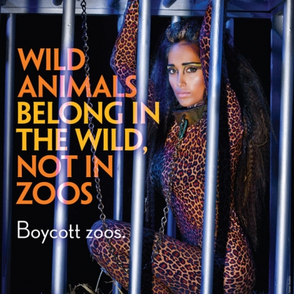 Jiah Khan: Wild Animals Belong in the Wild