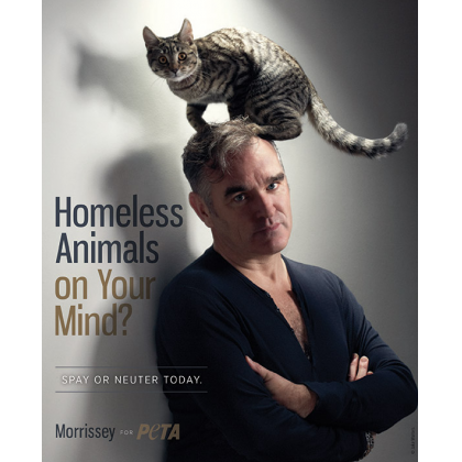 Morrissey: Homeless Animals on Your Mind?