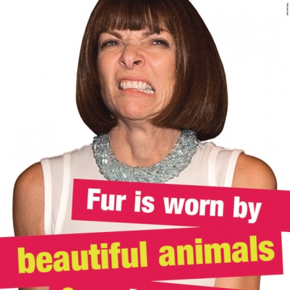Anna Wintour: Fur Is Worn by Beautiful Animals and Ugly People