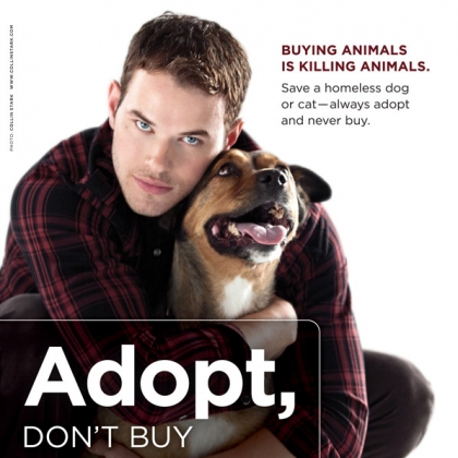 Kellan Lutz: Adopt, Don’t Buy