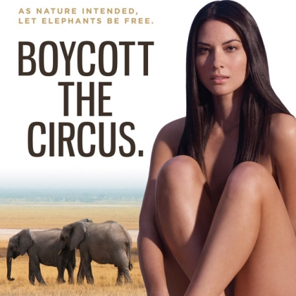 Olivia Munn: Boycott the Circus