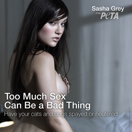 Sasha Grey: Too Much Sex Can Be a Bad Thing