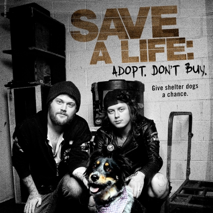 Asking Alexandria: Adopt. Don’t Buy.