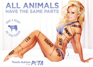 Pamela Anderson Shows That All Animals Have the Same Parts