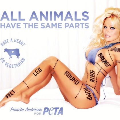 Pam Anderson: All Animals Have the Same Parts