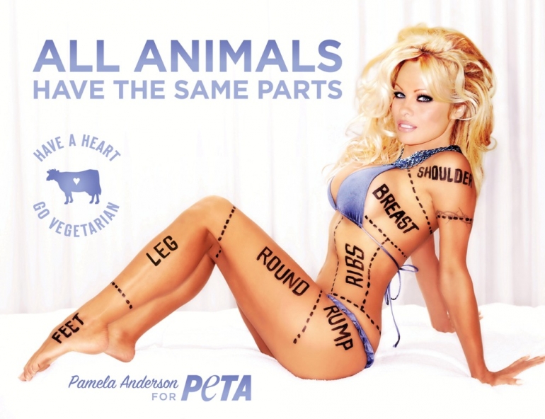 Pam Anderson: All Animals Have the Same Parts