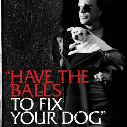 Mickey Rourke: Have the Balls to Fix Your Dog