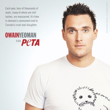 Owain Yeoman: Save the Seals