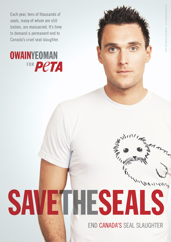 Owain Yeoman: Save the Seals