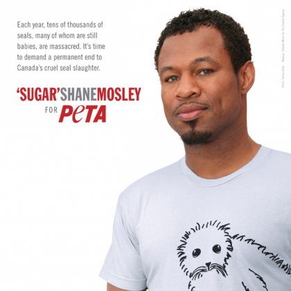 ‘Sugar’ Shane Mosley: Save the Seals