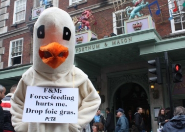 Giant ‘Goose’ Gatecrashes Fortnum & Mason’s Diamond Jubilee Street Party