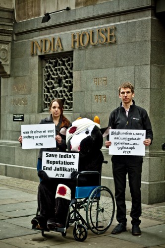 Jallikattu Demonstration outside the Indian High Commission, London