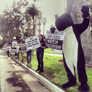 Anti-SeaWorld Demo/Blackfish