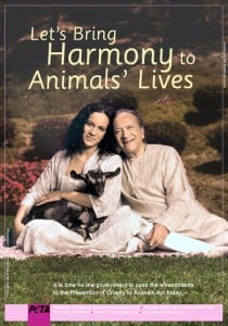 Bring Harmony Into Animal's Lives