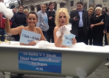 Bubbly Pro-Vegan PETA Action Marks World Water Day