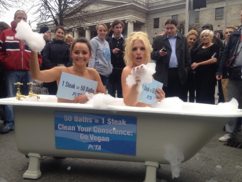 PETA's Bathing Beauties