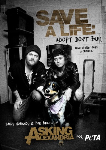 Danny Worsnop and Ben Bruce speak out for shelter dogs