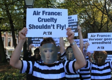 Britain’s Most Famous Art Critic Writes Burning Critique of Air France
