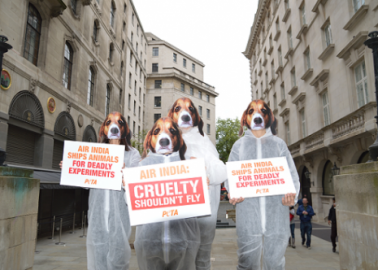 Air India: Cruelty Shouldn’t Fly