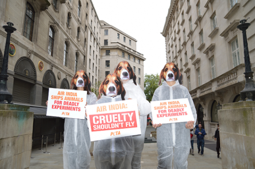 Air India PETA demo London