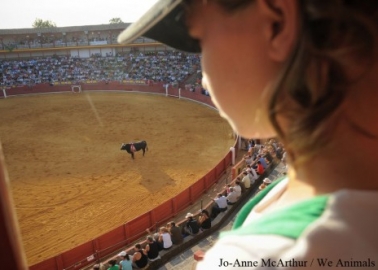 UN: Violent Bullfighting Goes Against Children’s Rights