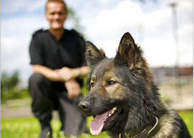 Petition: Police Dogs Aren’t ‘Property’