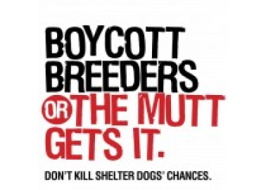‘Boycott Breeders or the Mutt Gets It’