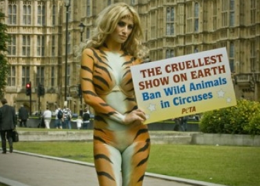 No End in Sight for Wild Animals in British Circuses