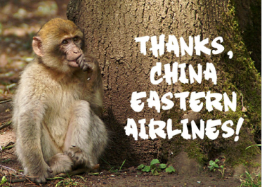 First Class! China Eastern Airlines Stops Shipping Primates to Labs
