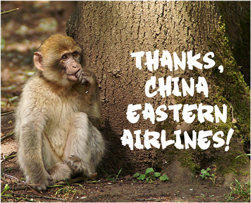 Primates will no longer be shipped from China!