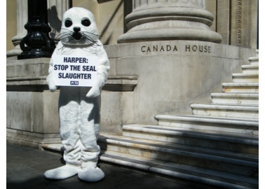 Giant ‘Seal’ Wants to Speak With Canadian PM Stephen Harper