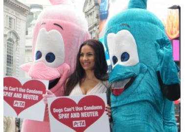 Lacey Banghard: Too Much Sex Can Be Deadly