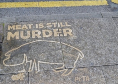 Why Have We Washed Manchester’s Pavements to Spread the Veggie Message?